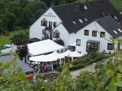 Фото: Weinhotel Restaurant Klostermühle